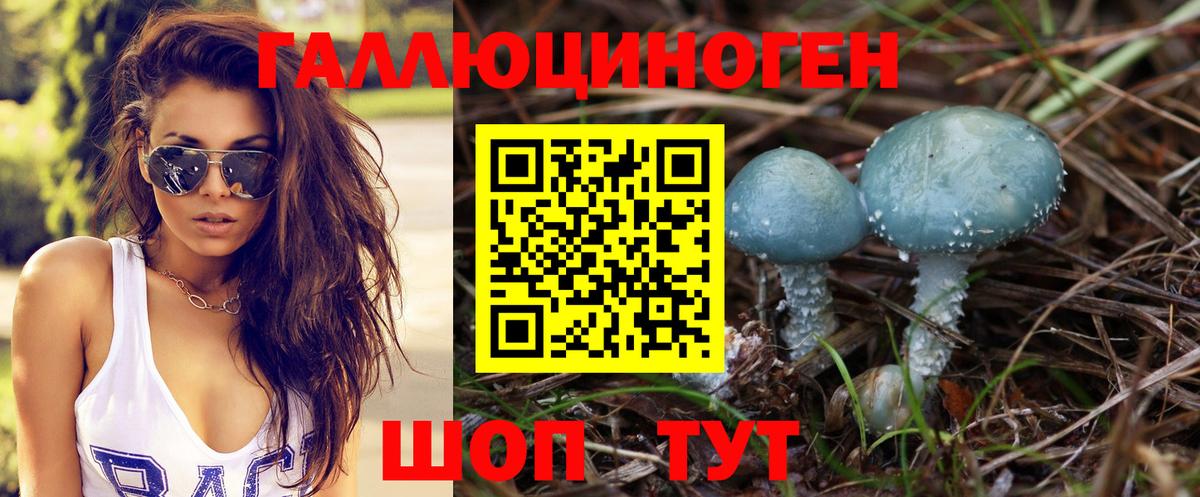 Ачинск  Галлюциногенные грибы прущие грибы  Вход с VPN 