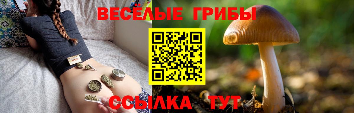 Галлюциногенные грибы мицелий Ачинск